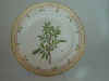 Salix Pentandra L.  T 943.jpg (111543 byte)
