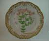 Silene Armeria L.  T 559.jpg (136750 byte)