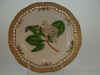 Sorbus Aria Crantz.  T 302.jpg (123664 byte)