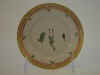Splachinium Ampullaceum Oed.  T 192.jpg (93518 byte)
