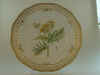 Tanacetum Vulgare L.  T 871.jpg (115401 byte)