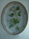 Tilia Vulgaris Hayne  T2966.jpg (185762 byte)