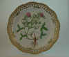Trifolium Pratense L.  T 989.jpg (137386 byte)