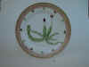 Trigonanthus Bicuspidatus Spruc.  T2068.jpg (100502 byte)