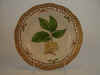 Ulmus Montana Sm.  T 253.jpg (113059 byte)