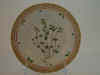 Veronica Praecox All.  T 2941.jpg (105151 byte)