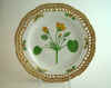 Villarsia Nymphoides Hffg.  T 339.jpg (148883 byte)