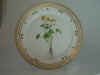 Viola Biflora L.  T 46.jpg (106162 byte)