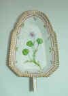 Viola Palustris L.    T83.jpg (178363 byte)